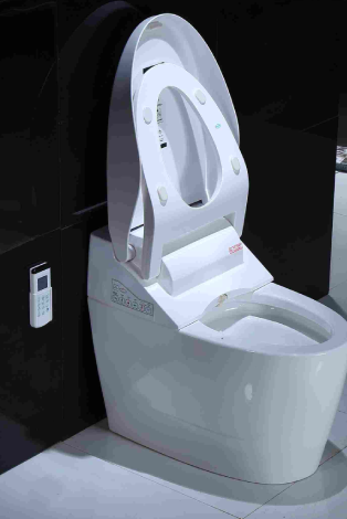 Smart Sanitary
